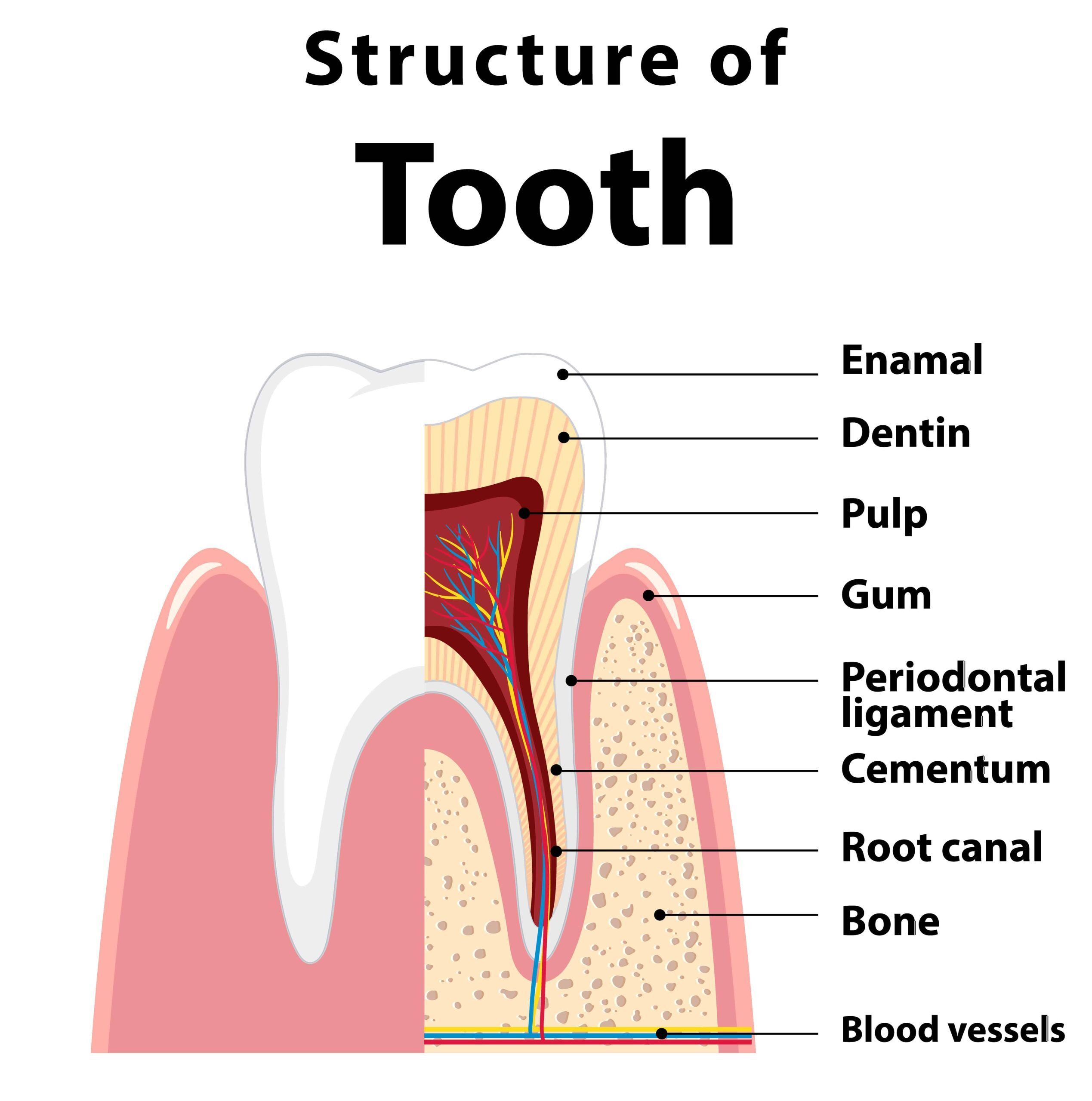 root canal antalya turkey